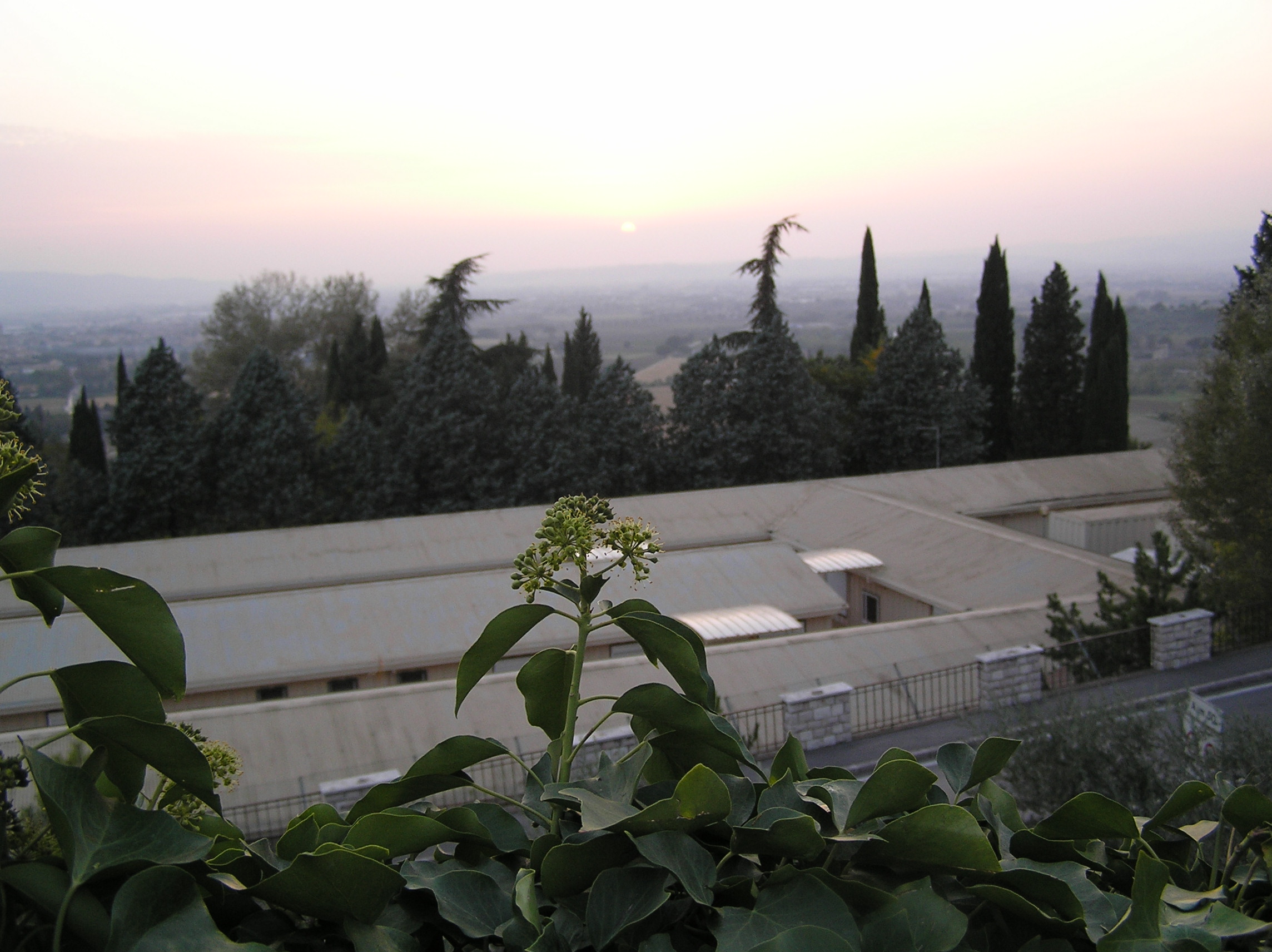 Assisi